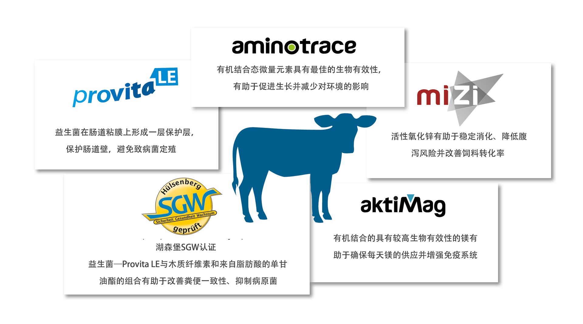 Interaction of various active ingredients for a healthy calf