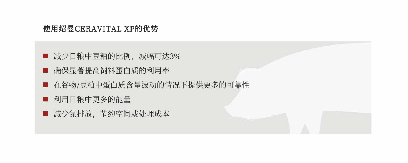 Advantages of using CERAVITAL XP