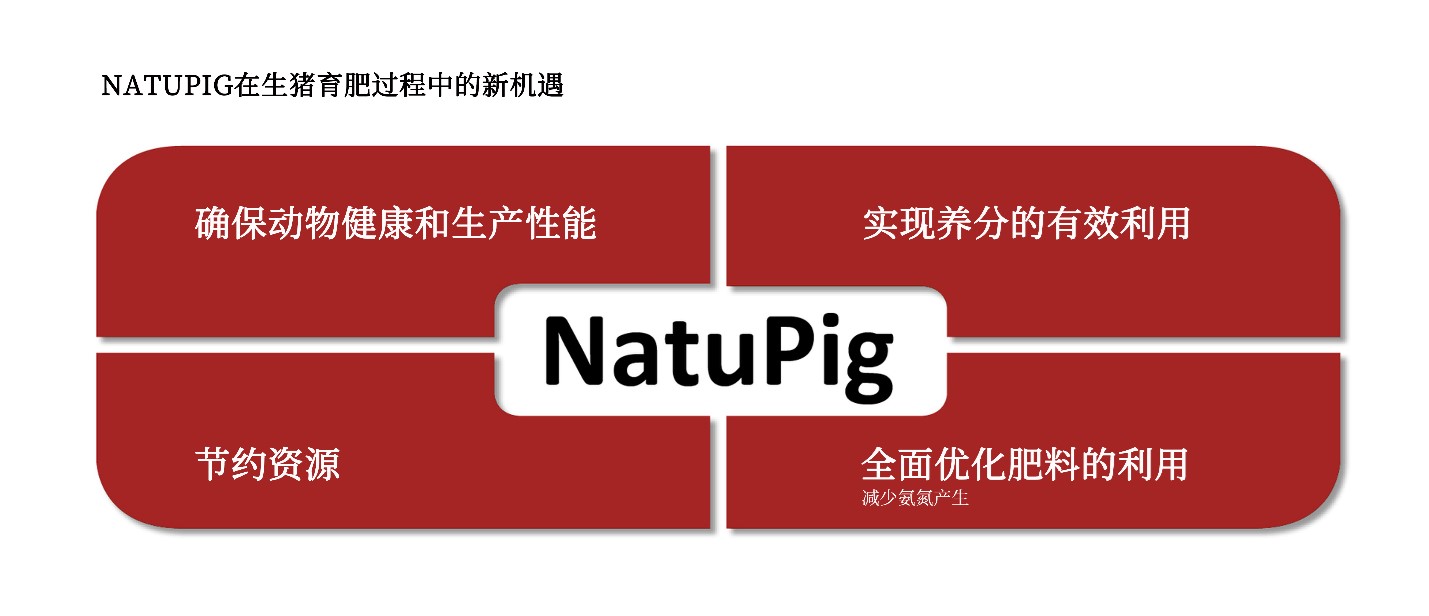 Opportunities in pig fattening with NATUPIG