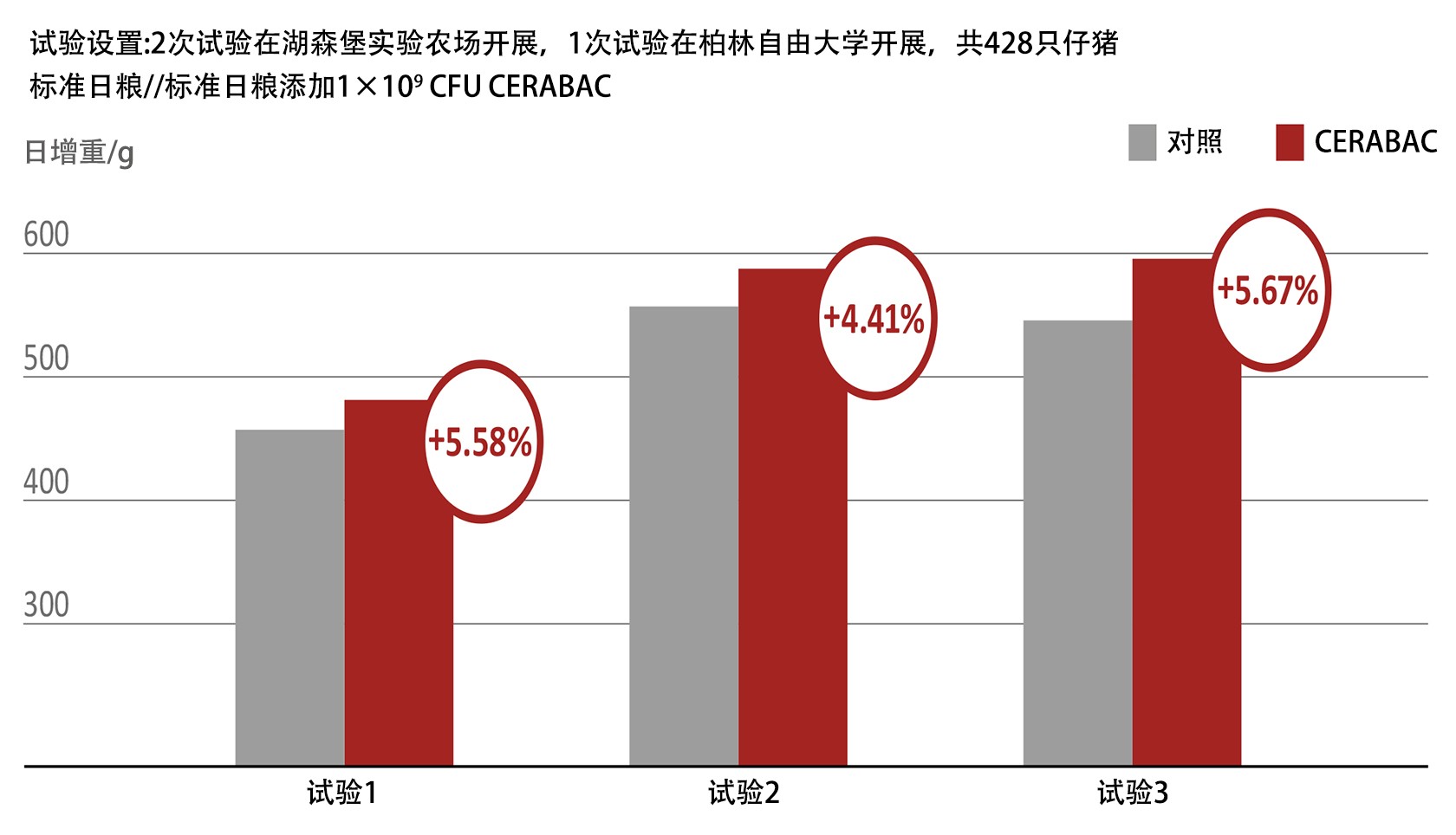 Daily weight gains with CERABAC