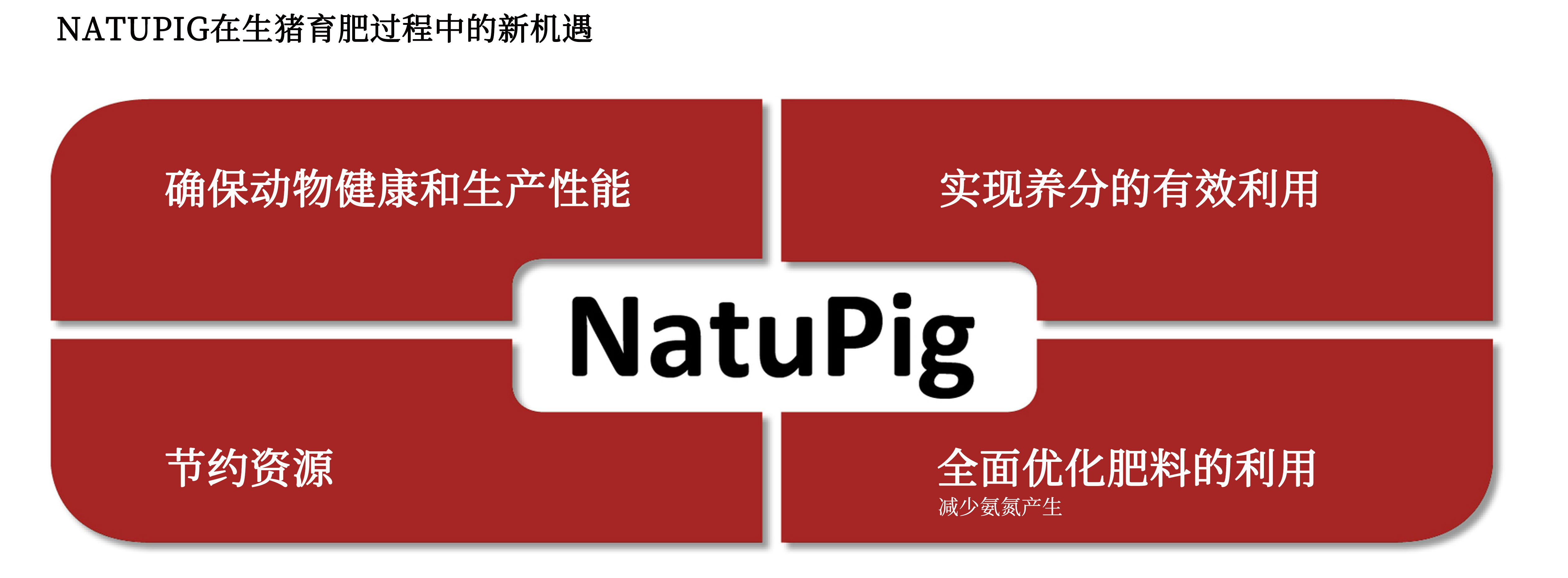 NATUPIG in pig fattening