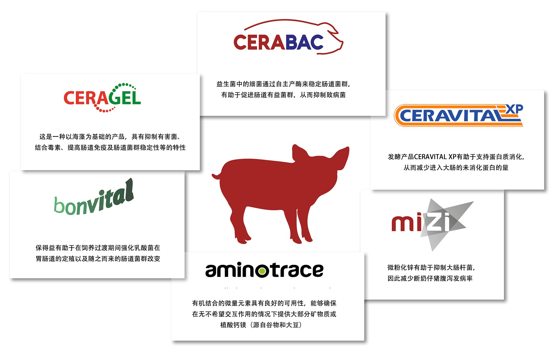 Interaction of active ingredients