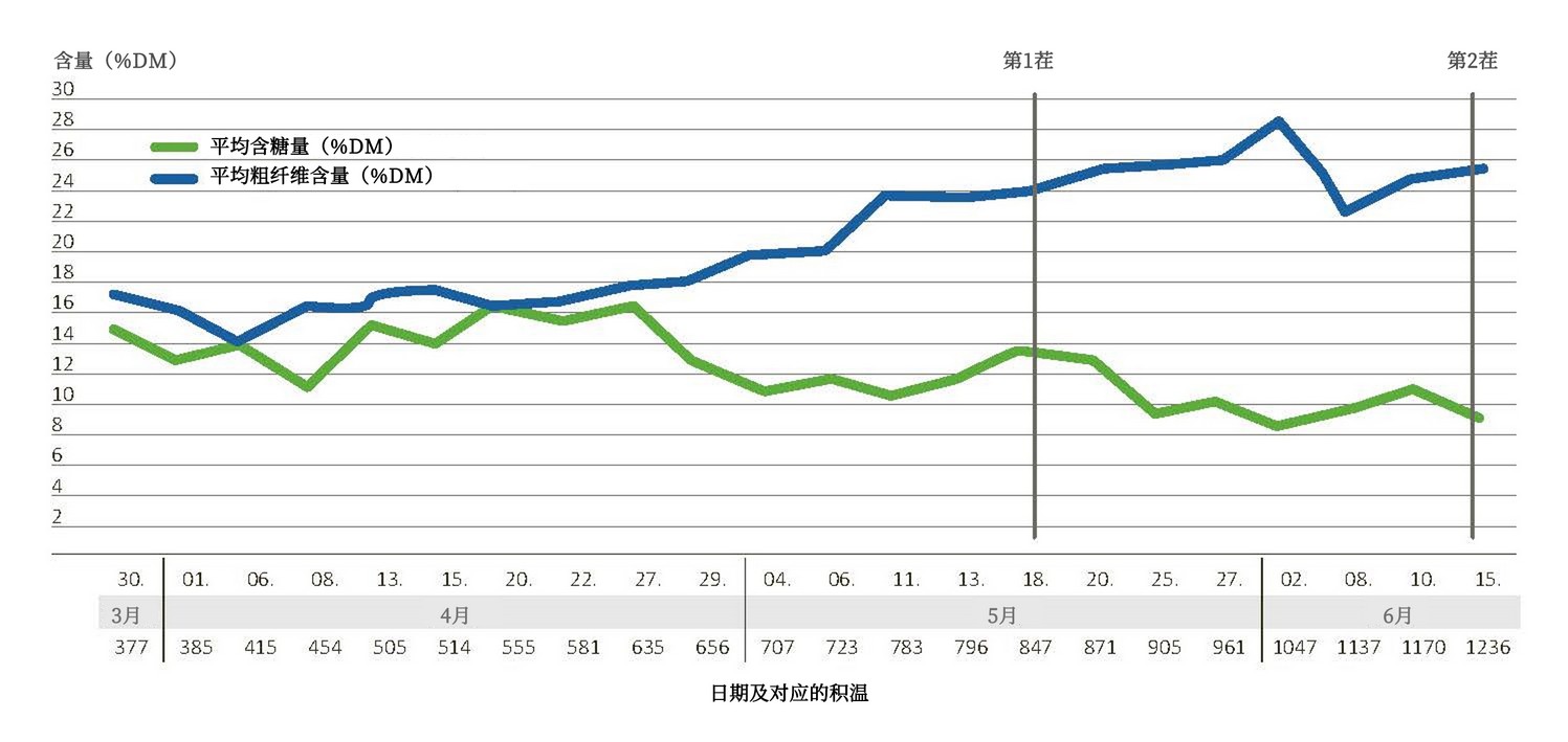 Development of raw fibre and sugar contents