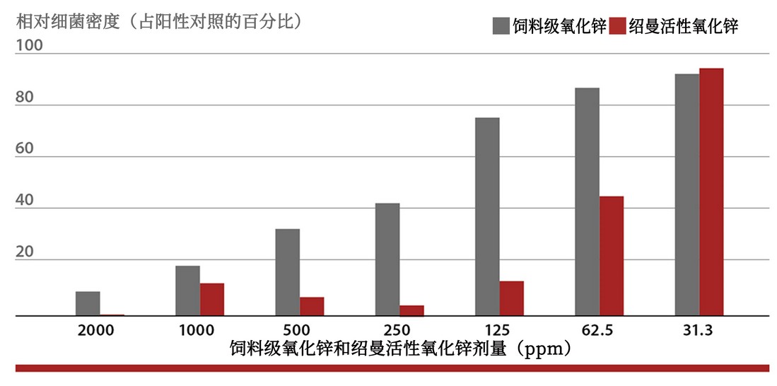 Influence of different zinc oxide doses