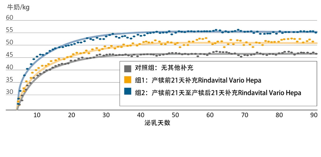 RINDAVITAL VARIO HEPA