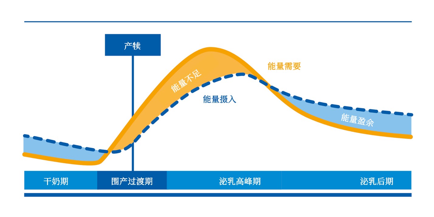 Energy demand and energy intake during lactation