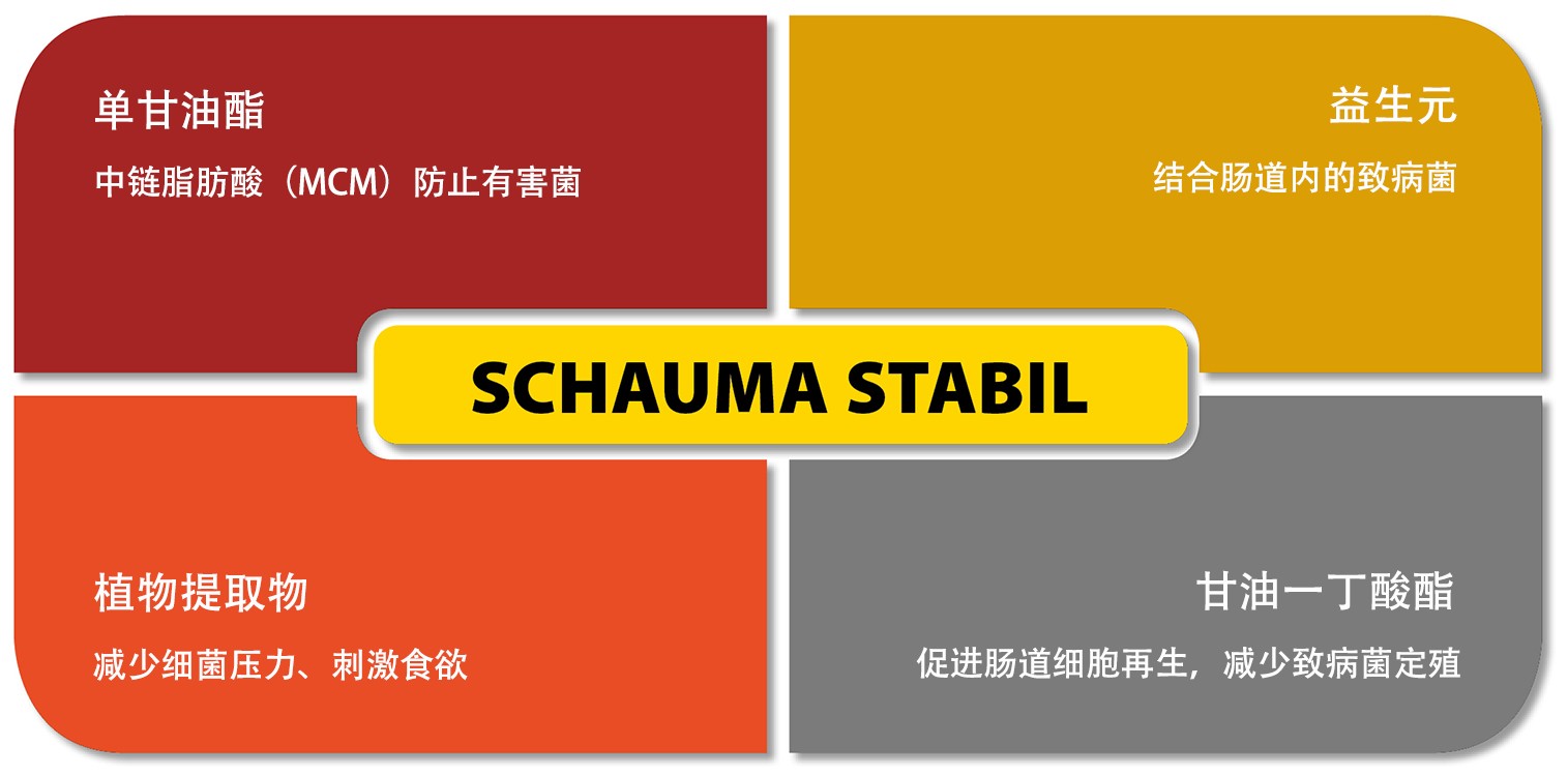 SCHAUMA STABIL