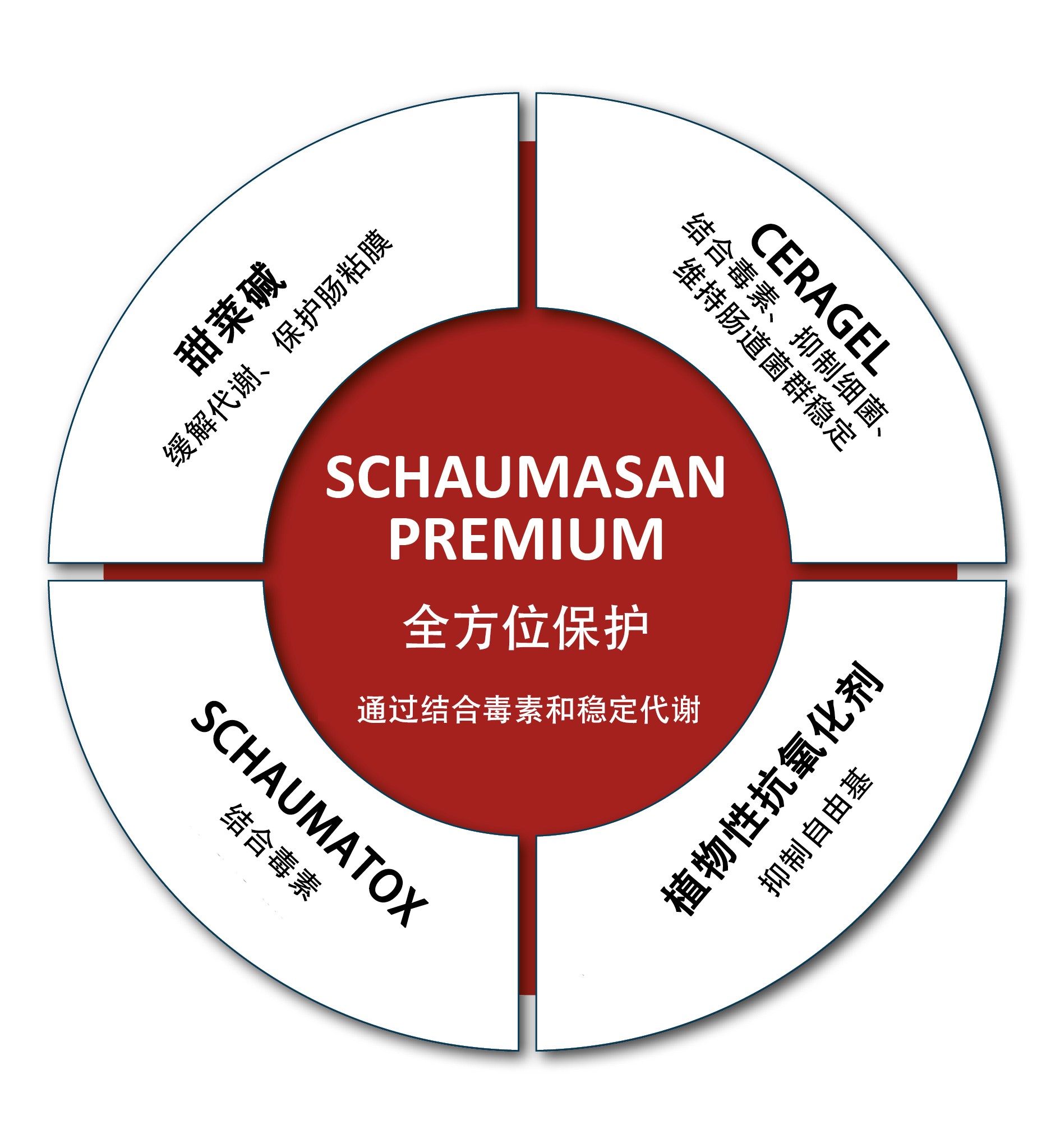 Components of SCHAUMASAN PREMIUM