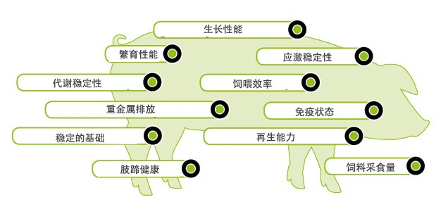 Key aspects of impact