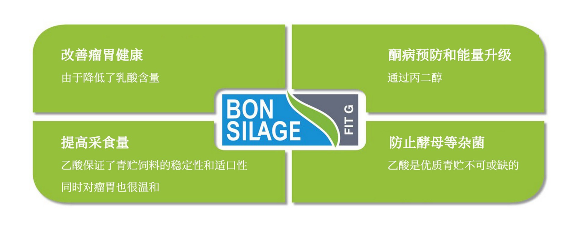 保时青(FIT G)的作用
