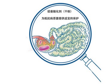 Effects of SCHAUMACID DRY