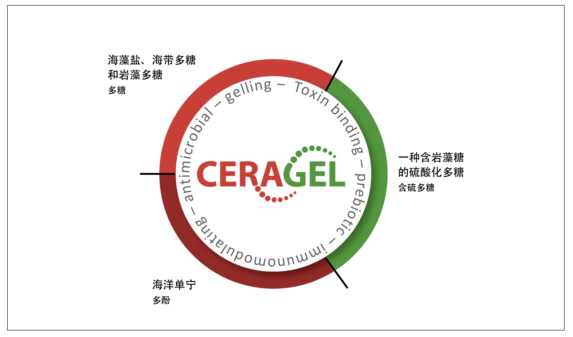 图3: 绍曼CERAGEL的有效成分及作用