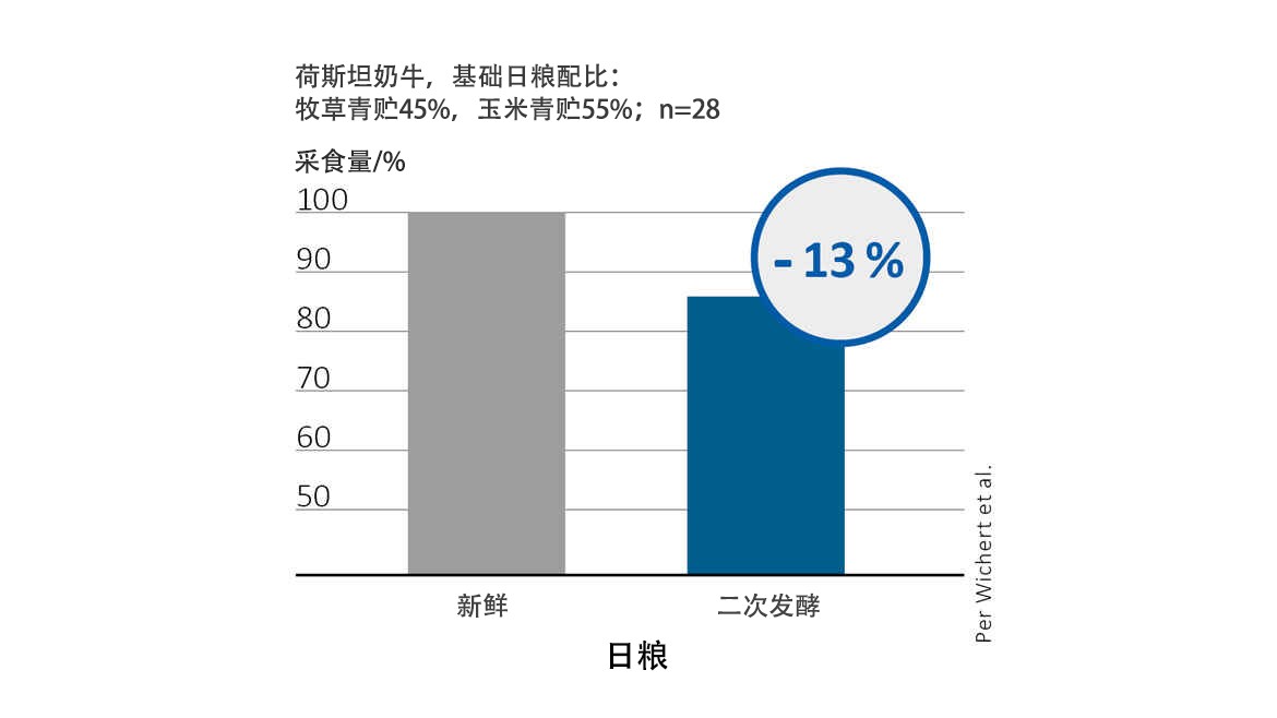 Reheating in mixed ration reduces feed intake in cows
